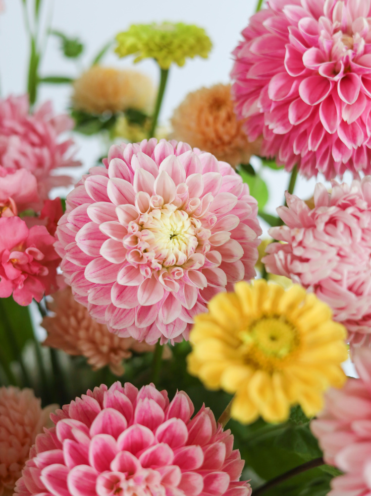 БОЛЬШАЯ ЛЕТНЯЯ КОРЗИНА С ГЕОРГИНАМИ И ДРУГИМИ ФЕРМЕРСКИМИ ЦВЕТАМИ БОЛЬШАЯ ЛЕТНЯЯ КОРЗИНА С ГЕОРГИНАМИ И ДРУГИМИ ФЕРМЕРСКИМИ ЦВЕТАМИ