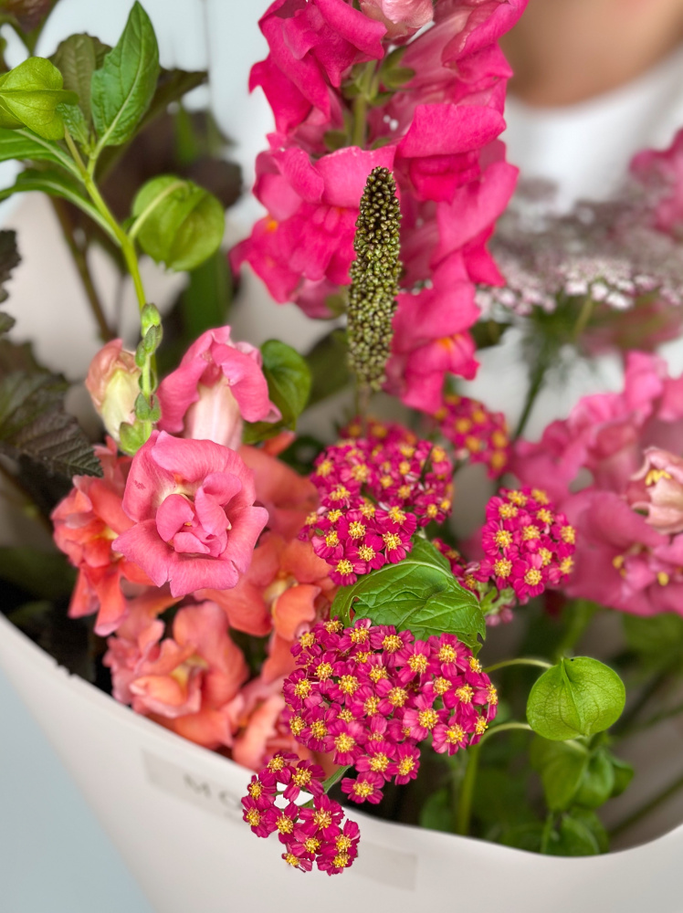 БУКЕТ С ЛЬВИНЫМ ЗЕВОМ И ТЫСЯЧЕЛИСТНИКОМ БУКЕТ С ЛЬВИНЫМ ЗЕВОМ И ТЫСЯЧЕЛИСТНИКОМ