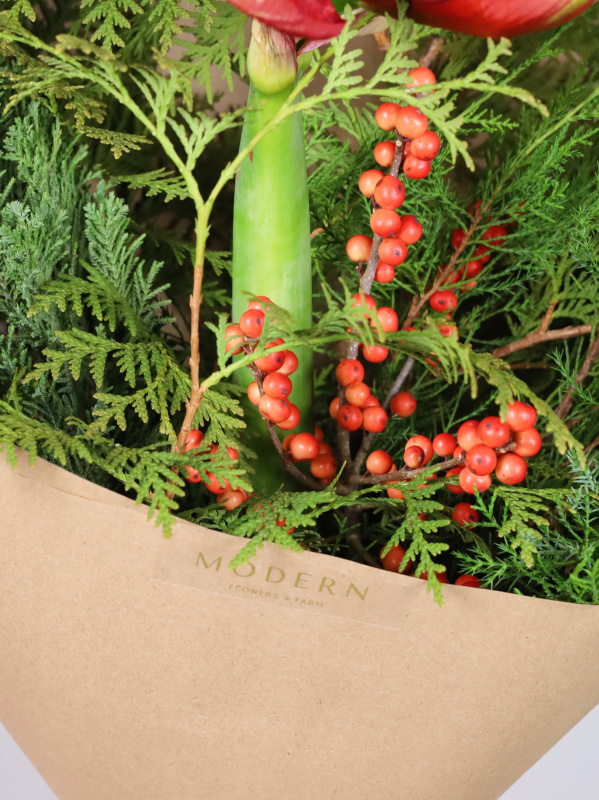 ХВОЙНЫЙ МИКС С ИЛЕКСОМ И АМАРИЛЛИСОМ