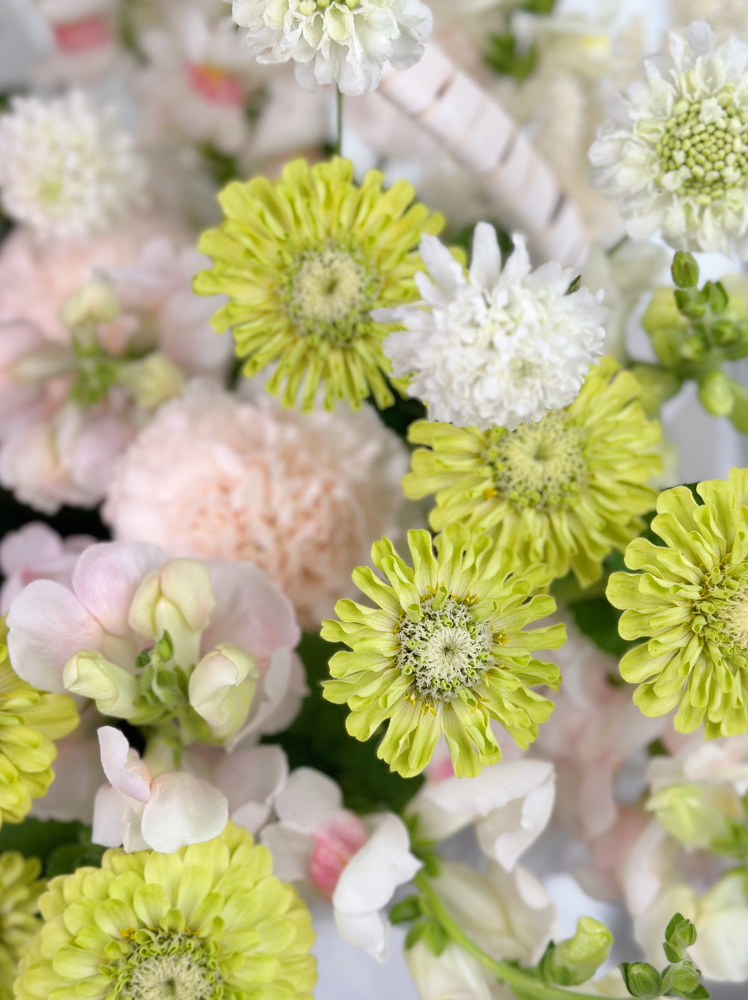 БОЛЬШАЯ КОРЗИНА С СЕЗОННЫМИ ЛЕТНИМИ ЦВЕТАМИ БОЛЬШАЯ КОРЗИНА С СЕЗОННЫМИ ЛЕТНИМИ ЦВЕТАМИ