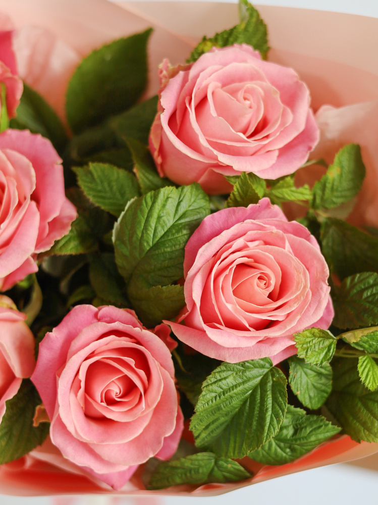 БУКЕТ С РОЗОЙ И ВЕТОЧКАМИ МАЛИНЫ БУКЕТ С РОЗОЙ И ВЕТОЧКАМИ МАЛИНЫ