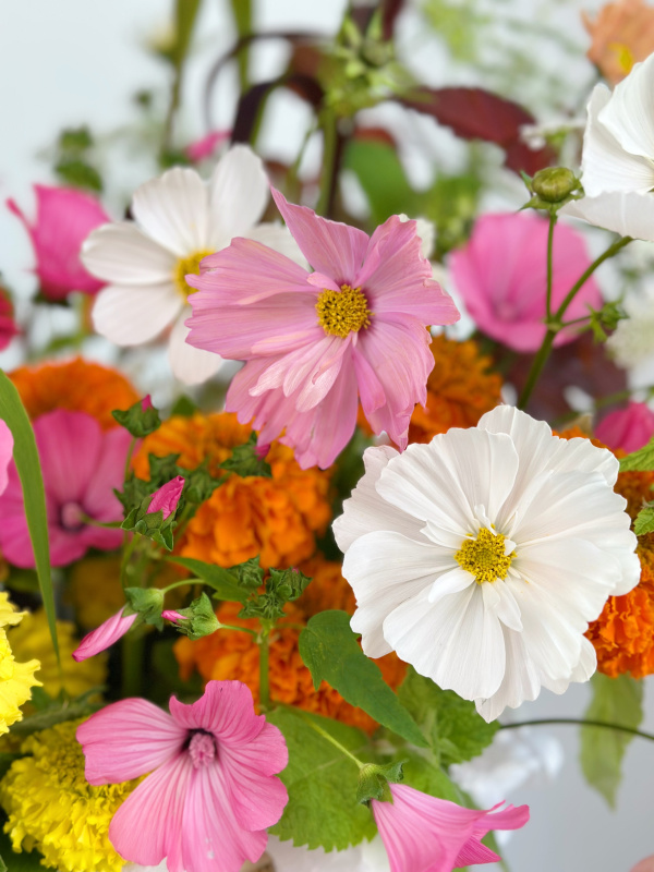КОСМЕЯ, ЛАВАТЕРА, ЛЬВИНЫЙ ЗЕВ В ПЛЕТЕНОЙ КОРЗИНЕ КОСМЕЯ, ЛАВАТЕРА, ЛЬВИНЫЙ ЗЕВ В ПЛЕТЕНОЙ КОРЗИНЕ